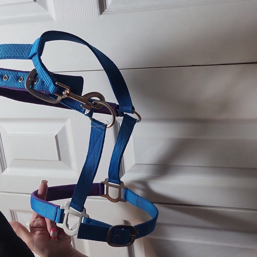 Horse Halter